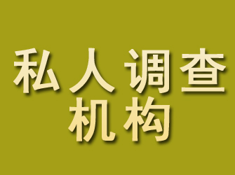 环江私人调查机构